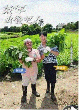 奔跑吧·第12季